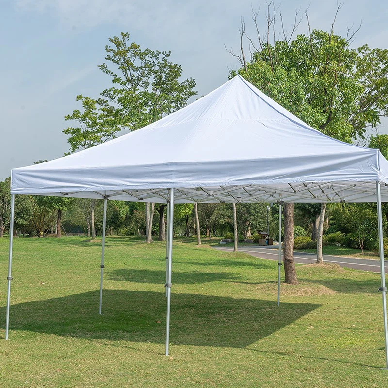 product-800-800 product-800-800